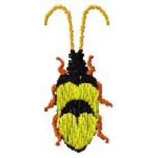 BeetlesnBugs 10