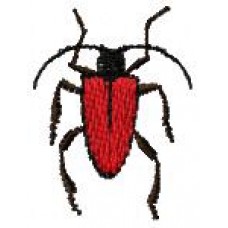 BeetlesnBugs 12