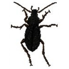 BeetlesnBugs 15