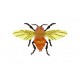 BeetlesnBugs 18