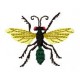 BeetlesnBugs 19