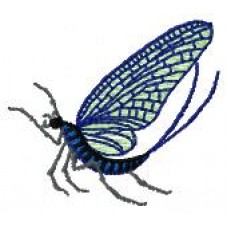 BeetlesnBugs 2