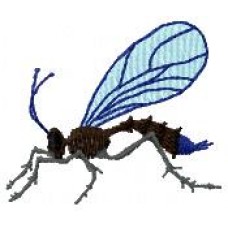 BeetlesnBugs 3