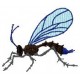 BeetlesnBugs 3