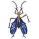 BeetlesnBugs 6