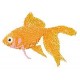 Goldfish d